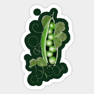 Peas Please Sticker